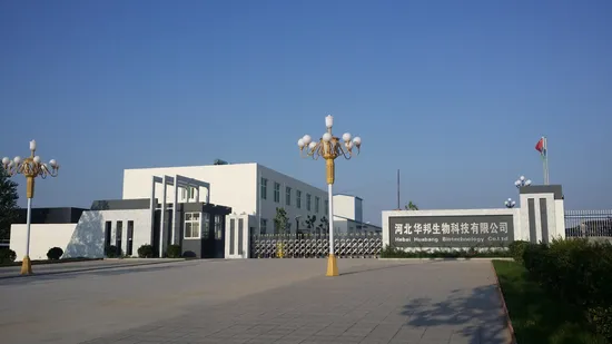 Levofloxacin 10% Injections for Veterinary Use