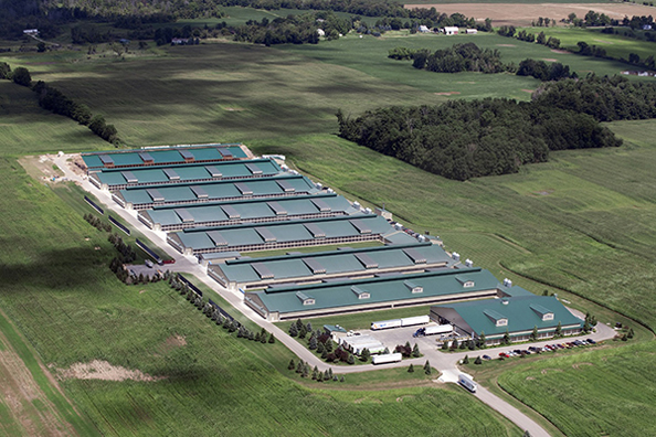Hubei Probiotics Co., Ltd.